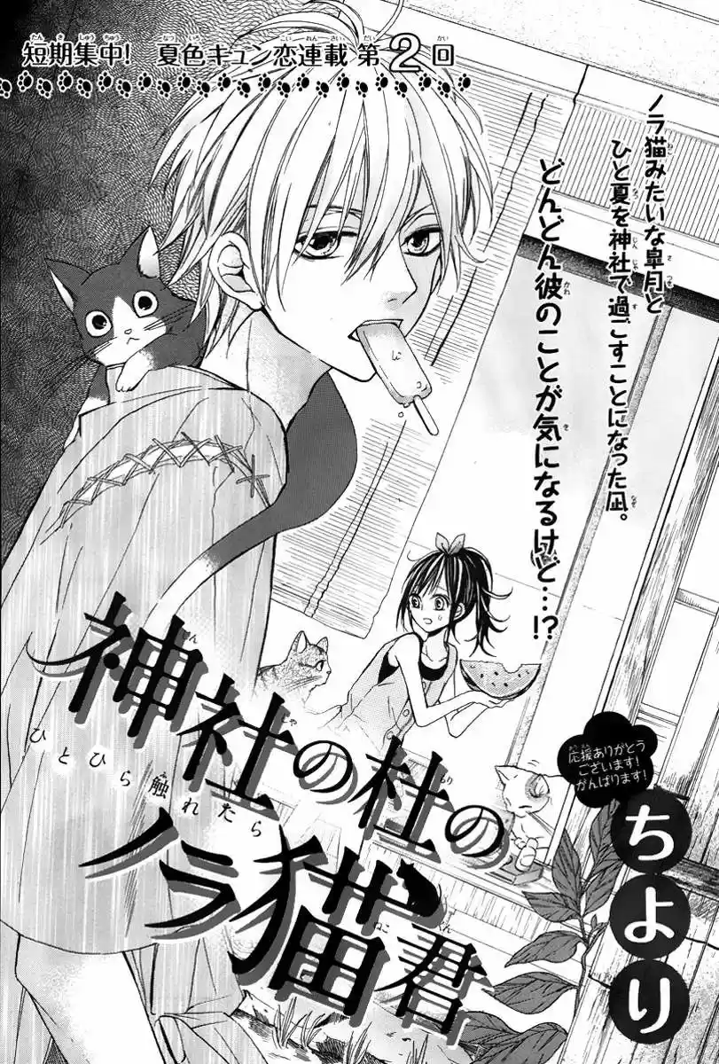 Jinja No Mori No Nora Neko-kun - Capítulo 2 - Página 3 - LectorTMOo