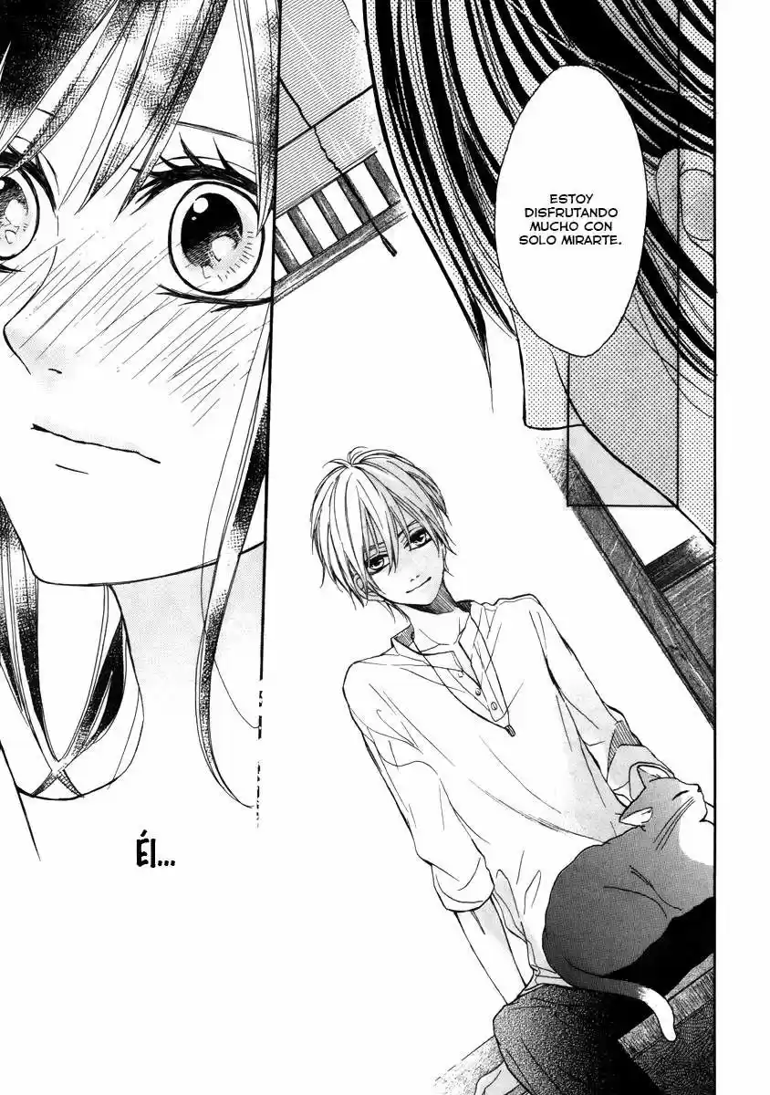 Jinja No Mori No Nora Neko-kun - Capítulo 2 - Página 24 - LectorTMOo