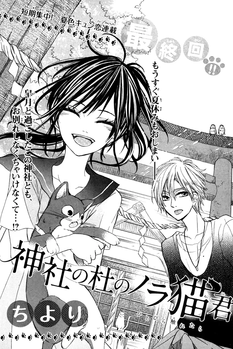 Jinja No Mori No Nora Neko-kun - Capítulo 3 - Página 3 - LectorTMOo