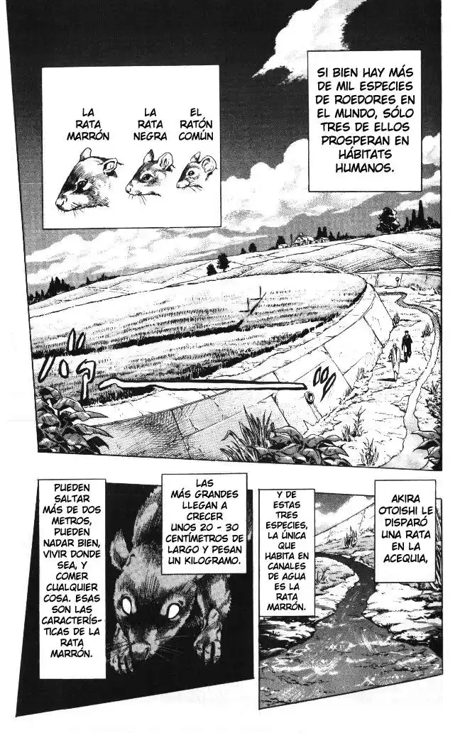 JoJo's Bizarre Adventure Part 4: Diamond Is Unbreakable - Capítulo 60 - Página 12 - LectorTMOo