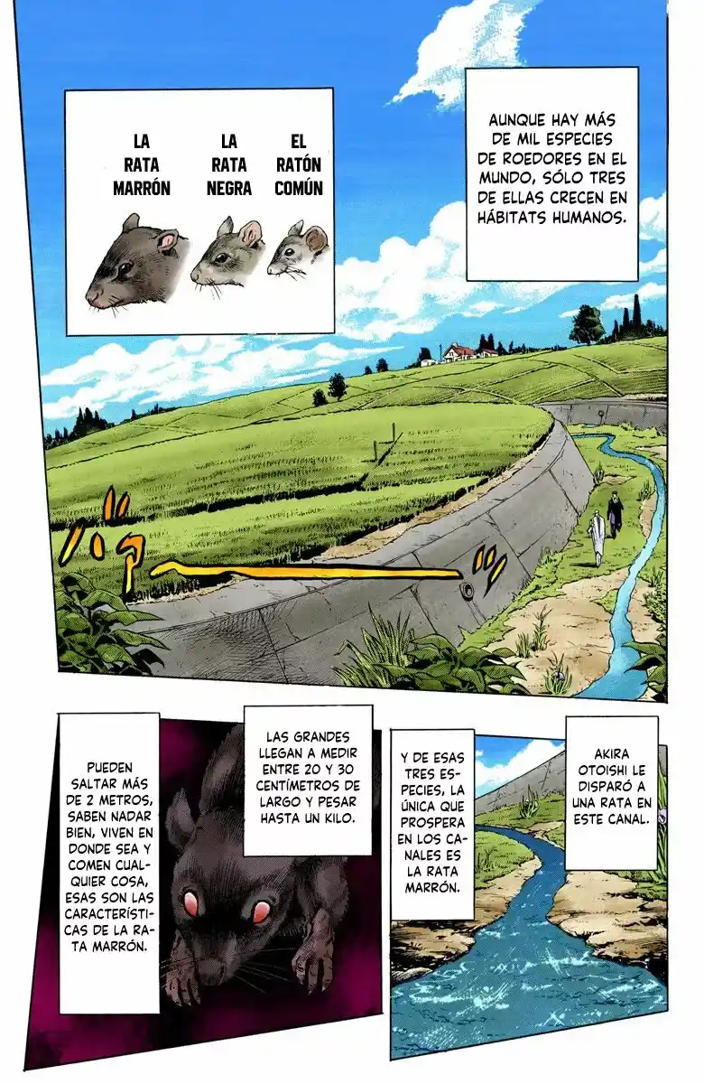 JoJo's Bizarre Adventure Parte 4: Diamond Is Unbreakable Full Color - Capítulo 60 - Página 11 - LectorTMOo