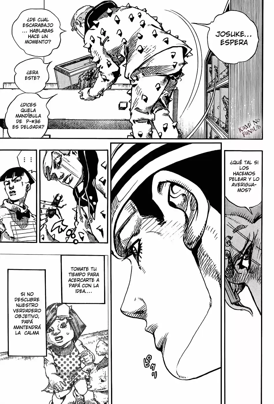 Jojo's Bizarre Adventure Parte 8: Jojolion - Capítulo 34 - Página 45 - LectorTMOo