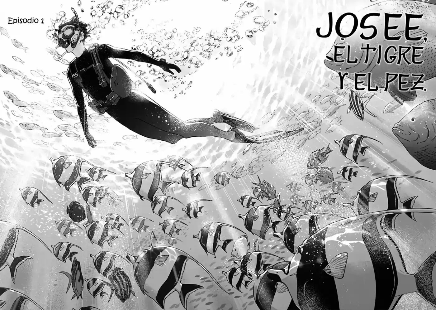 Josee, El Tigre Y El Pez - Capítulo 1 - Página 5 - LectorTMOo