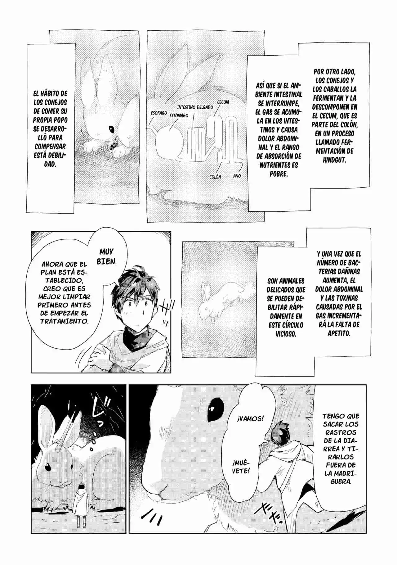 Jui-san No Oshigoto In Isekai - Capítulo 54 - Página 6 - LectorTMOo