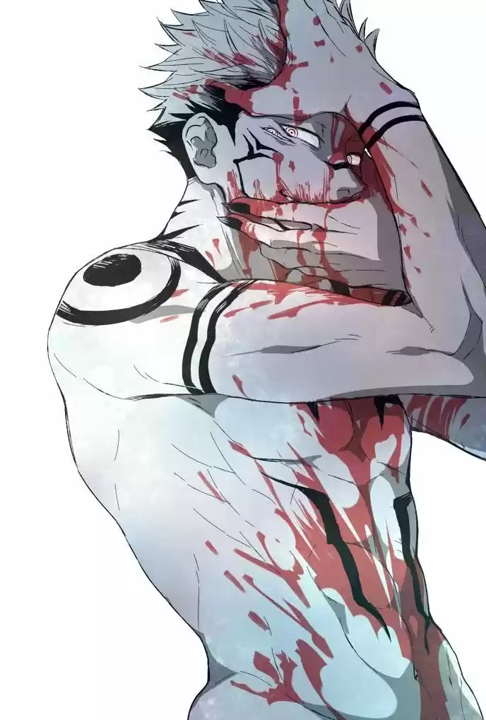 Jujutsu Kaisen - Capítulo 132.50 - Página 13 - LectorTMOo