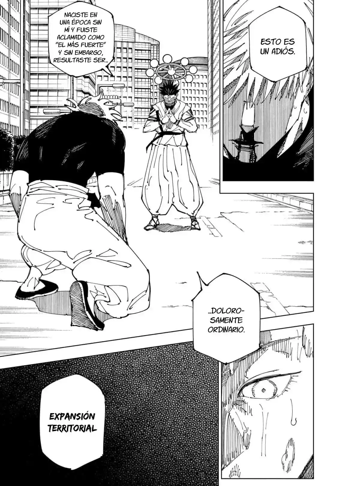Jujutsu Kaisen - Capítulo 230.10 - Página 15 - LectorTMOo
