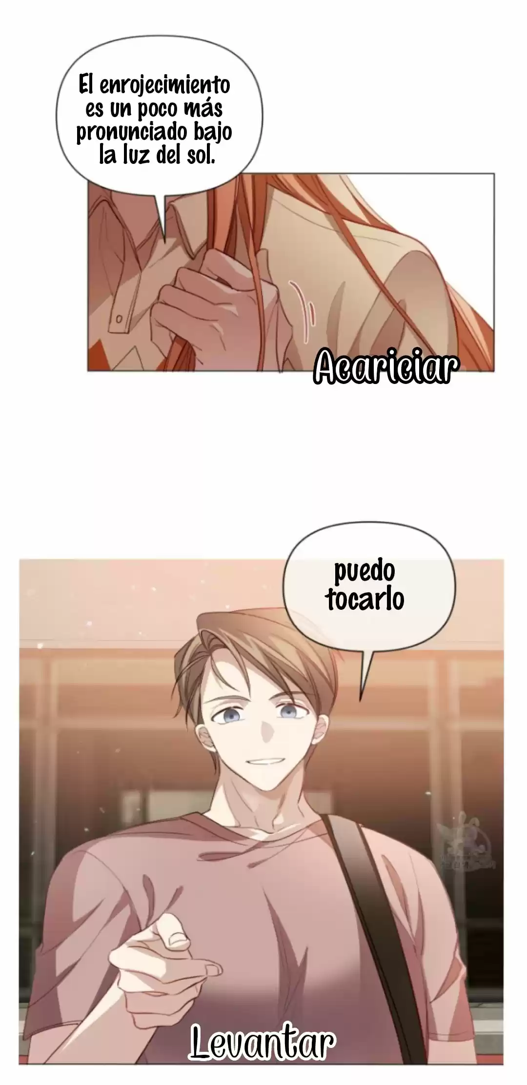 Julieta - Capítulo 20 - Página 5 - LectorTMOo