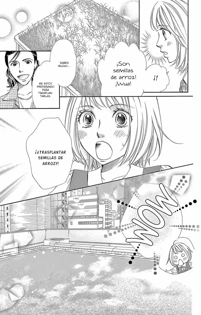 Jun-ai Daiginjo - Capítulo 2 - Página 17 - LectorTMOo