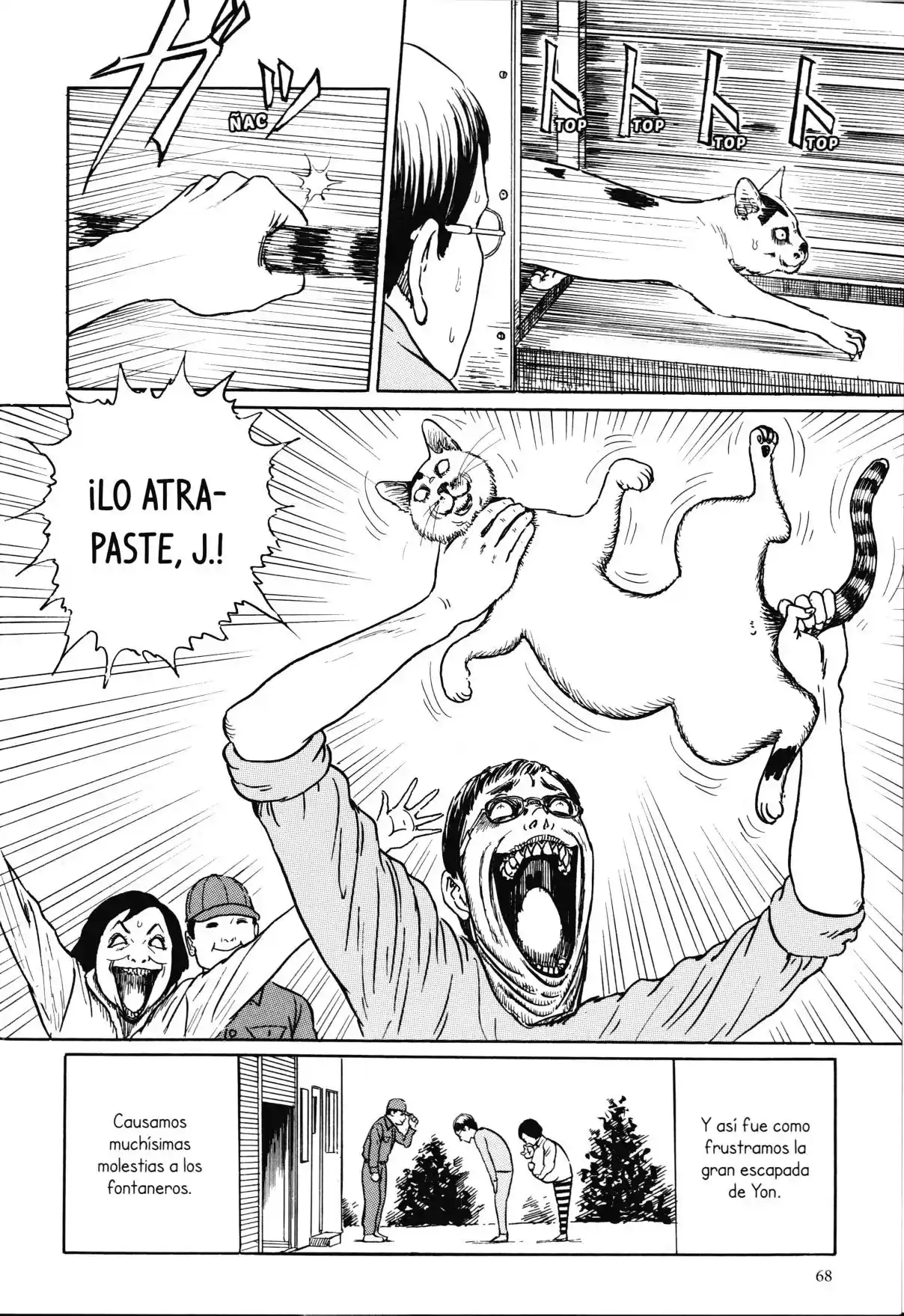 Junji Ito's Cat Diary: Yon & Mu - Capítulo 6 - Página 10 - LectorTMOo