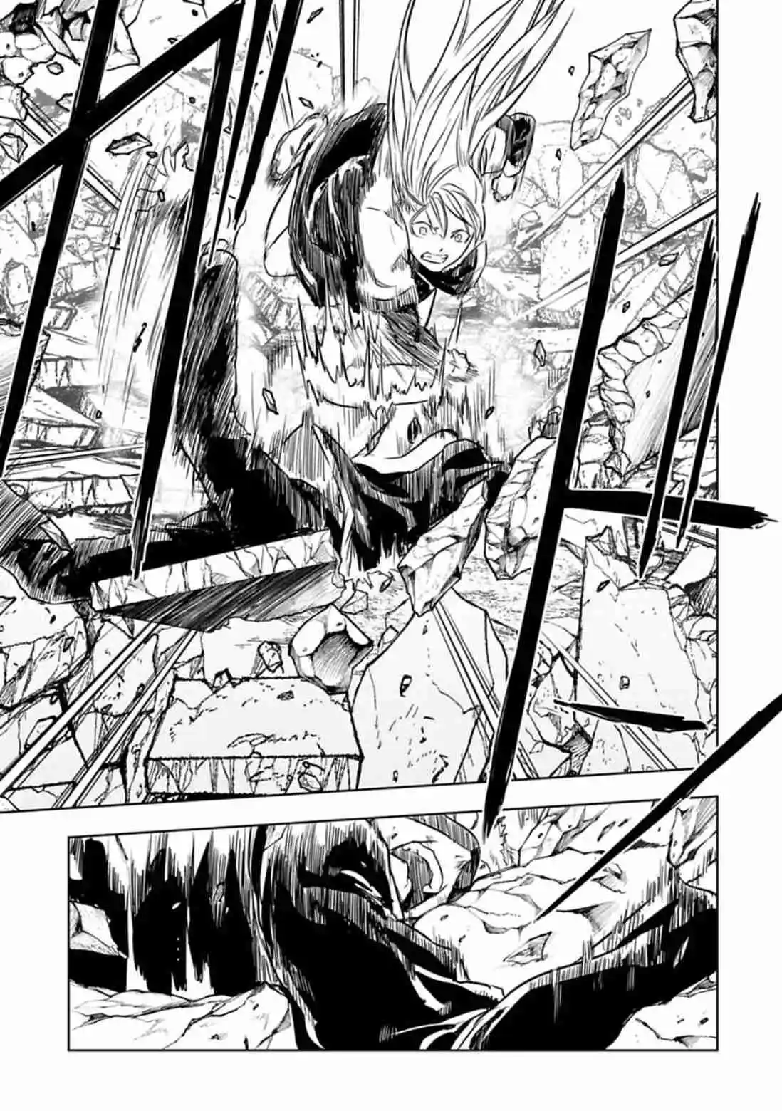 Junk The Black Shadow - Capítulo 48 - Página 14 - LectorTMOo