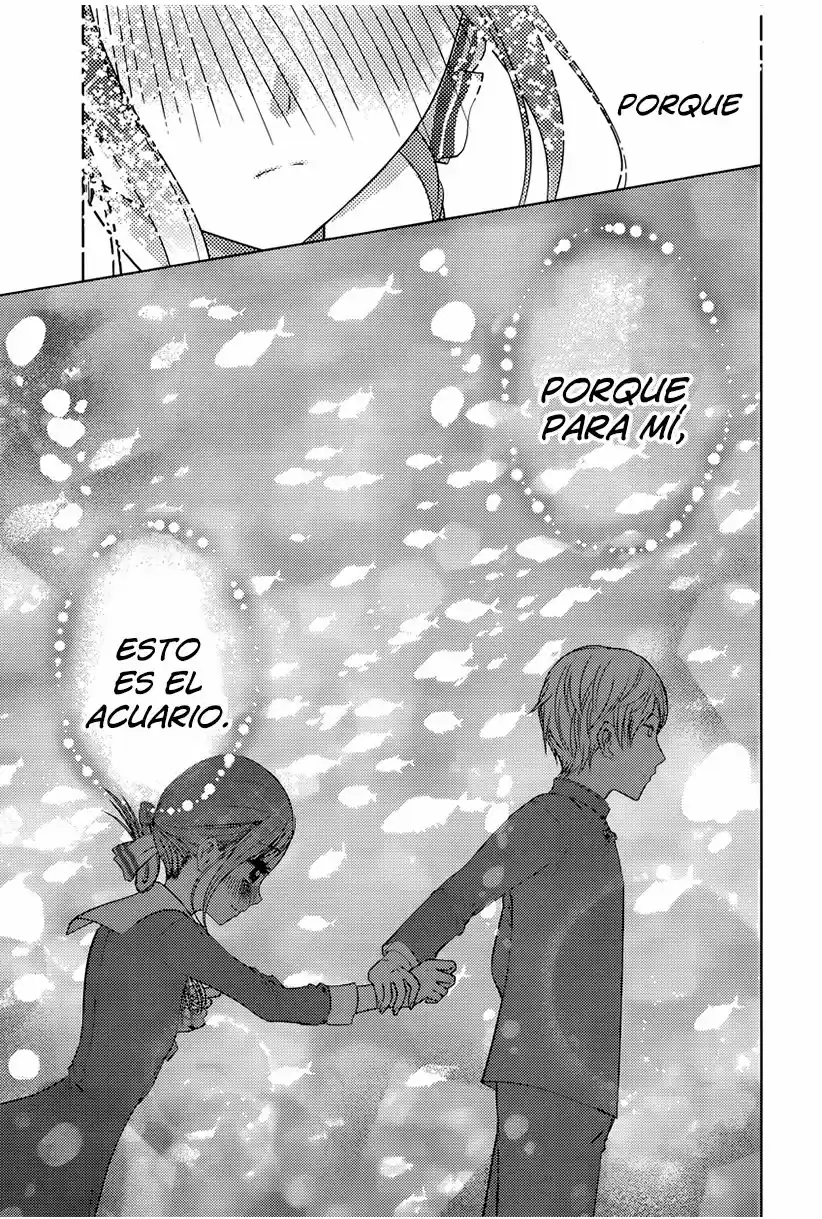 Kaguya-sama Wa Kokurasetai: Tensai-tachi No Ren'ai Zunōsen - Capítulo 74 - Página 18 - LectorTMOo