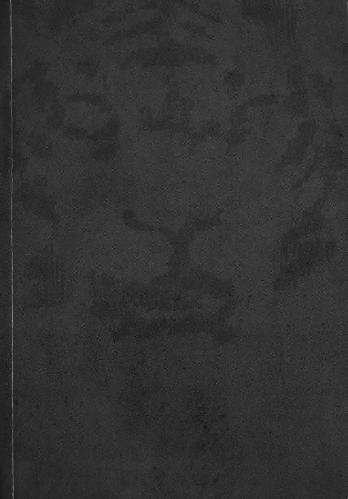 Kai No Tora: Takeda Shingen - Capítulo 5.2 - Página 56 - LectorTMOo