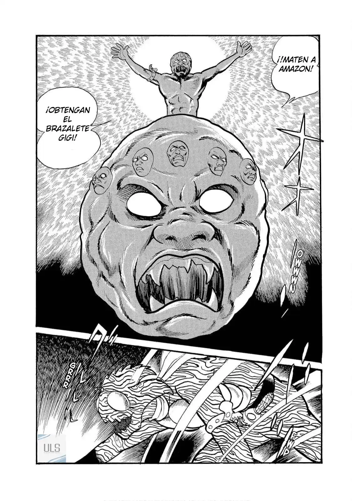 Kamen Rider W: Fuuto Tantei - Capítulo 2 - Página 5 - LectorTMOo