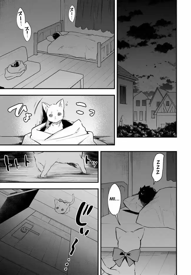 Kami Neko Mii-Chan A Neko Youhin Shoukanshi No Isekai Funtouki - Capítulo 12 - Página 10 - LectorTMOo