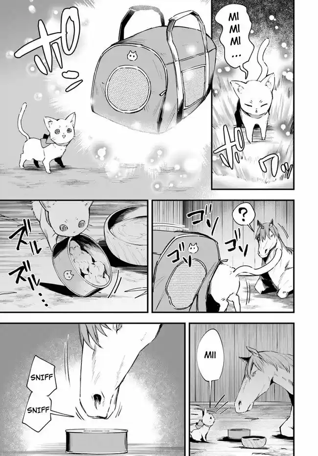 Kami Neko Mii-Chan A Neko Youhin Shoukanshi No Isekai Funtouki - Capítulo 12 - Página 12 - LectorTMOo