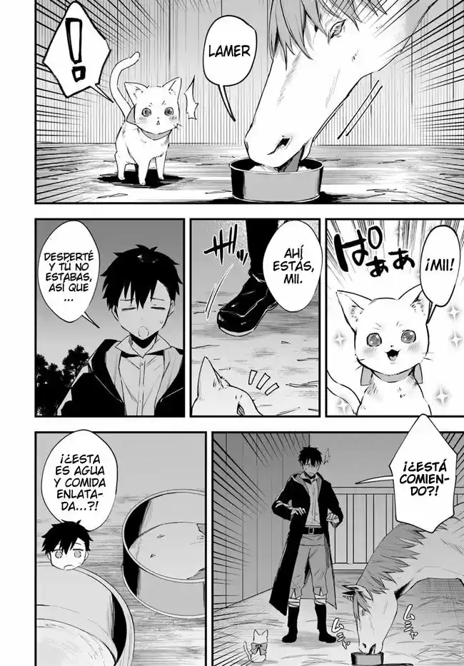 Kami Neko Mii-Chan A Neko Youhin Shoukanshi No Isekai Funtouki - Capítulo 12 - Página 13 - LectorTMOo