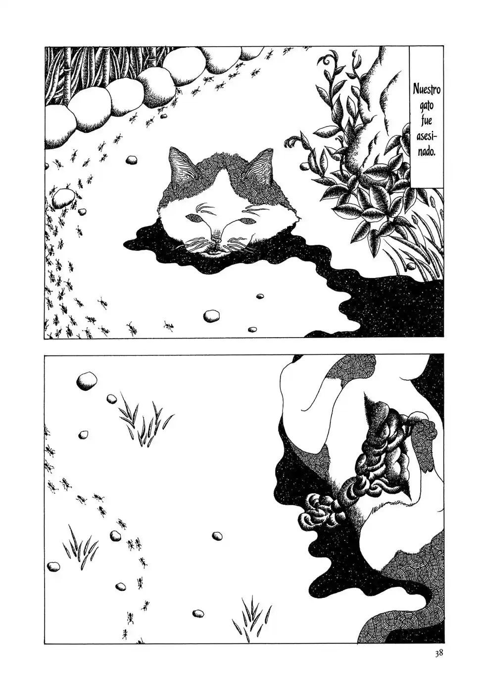 Kami No Kodomo - Capítulo 2 - Página 19 - LectorTMOo