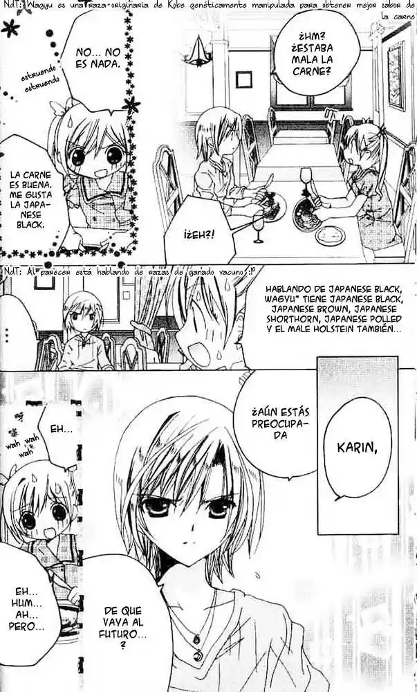 Kamichama Karin Chu - Capítulo 8 - Página 17 - LectorTMOo