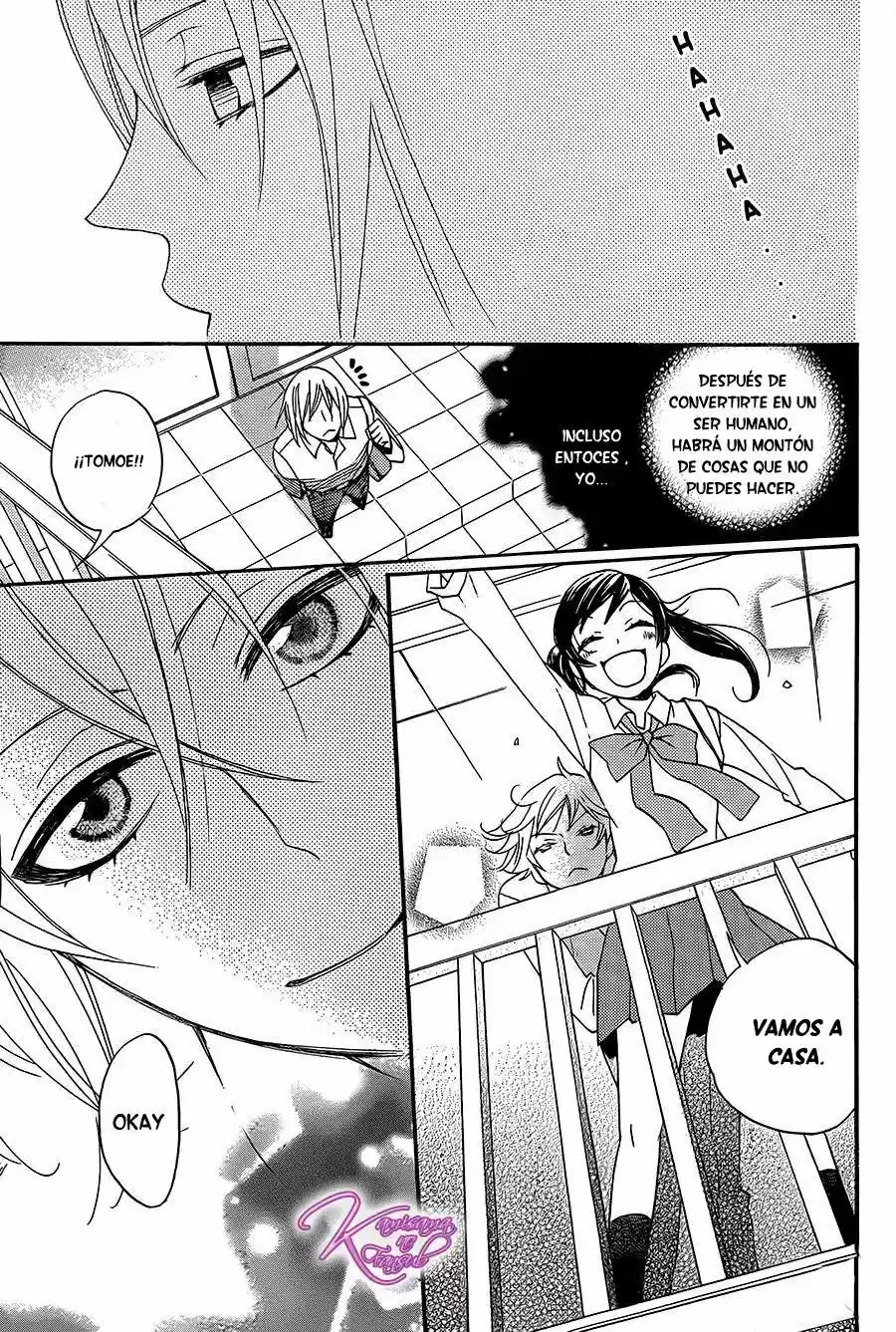 Kamisama Hajimemashita - Capítulo 116 - Página 17 - LectorTMOo