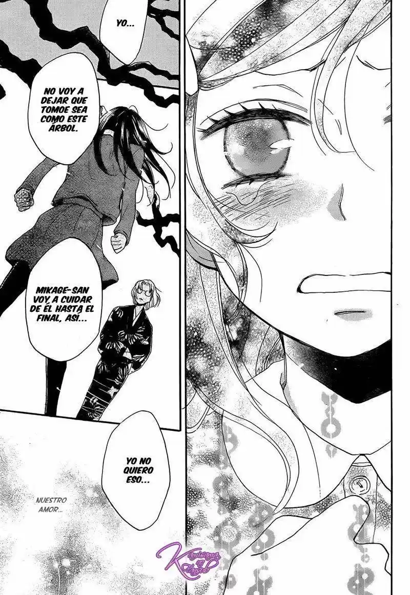 Kamisama Hajimemashita - Capítulo 117 - Página 19 - LectorTMOo