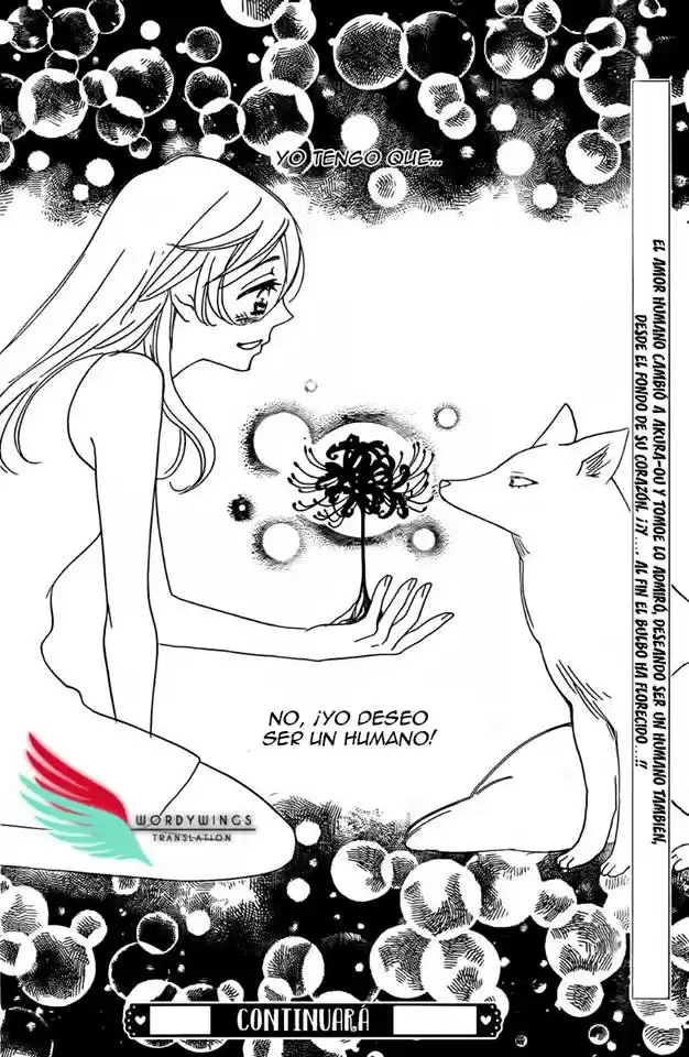 Kamisama Hajimemashita - Capítulo 135 - Página 34 - LectorTMOo