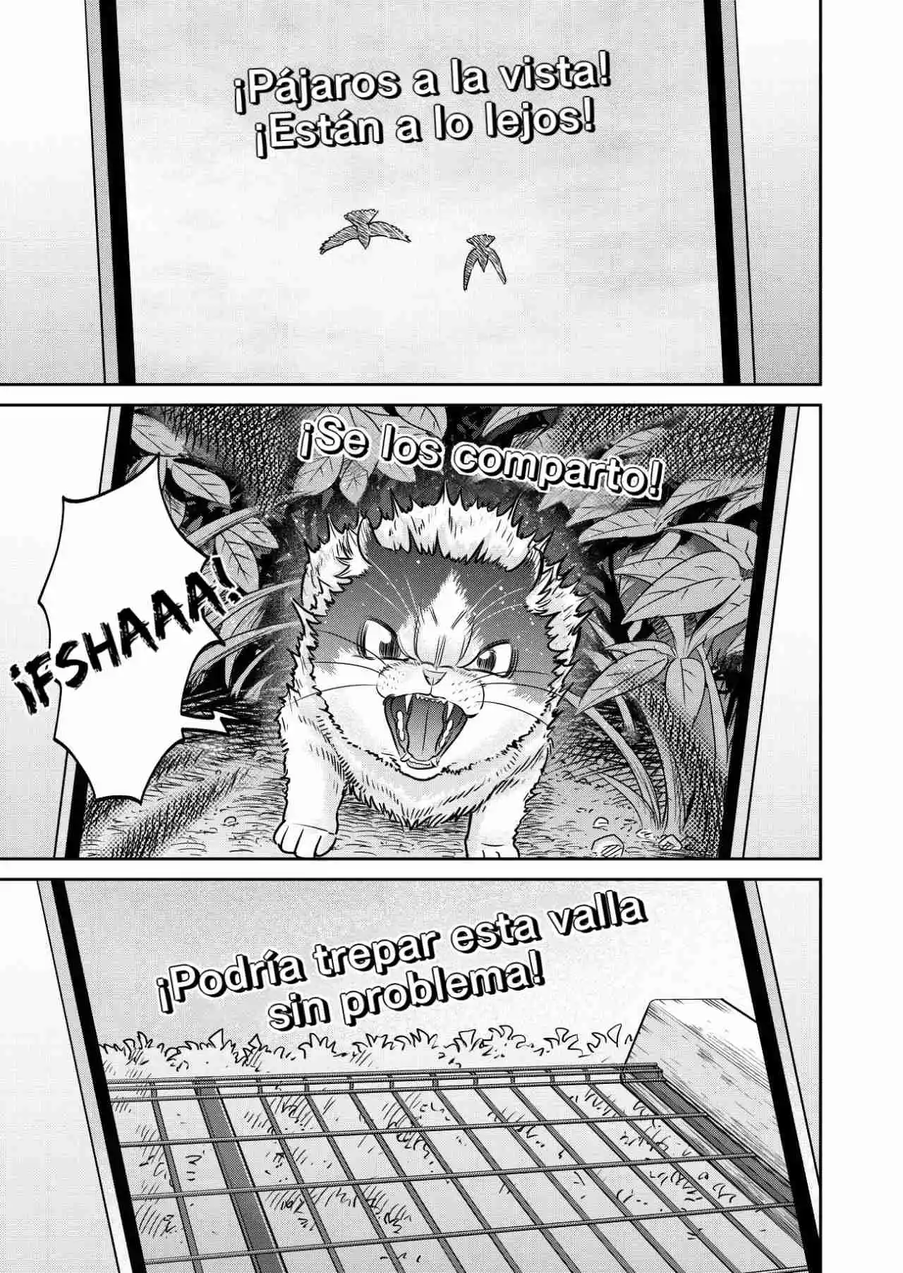 Kamoku Dakedo Mechakucha Nori No Ii Kuroneko-chan - Capítulo 4 - Página 5 - LectorTMOo