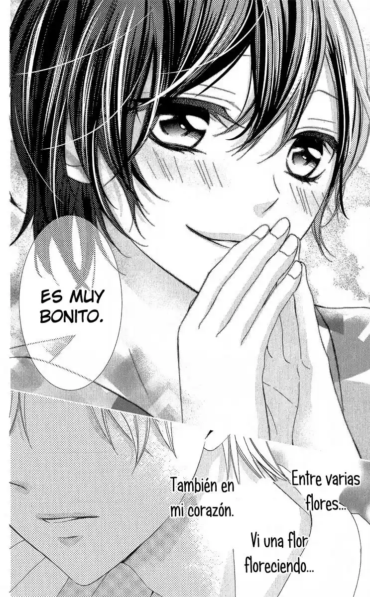 Kaoru-kun To Hana No Mori - Capítulo 4 - Página 26 - LectorTMOo
