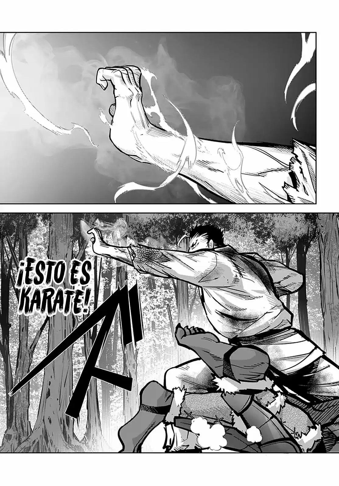 Karate Baka Isekai - Capítulo 14.10 - Página 17 - LectorTMOo