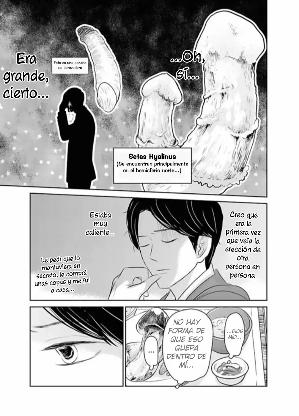 Kare To Kanojo Ha XX Dekinai - Capítulo 13 - Página 12 - LectorTMOo