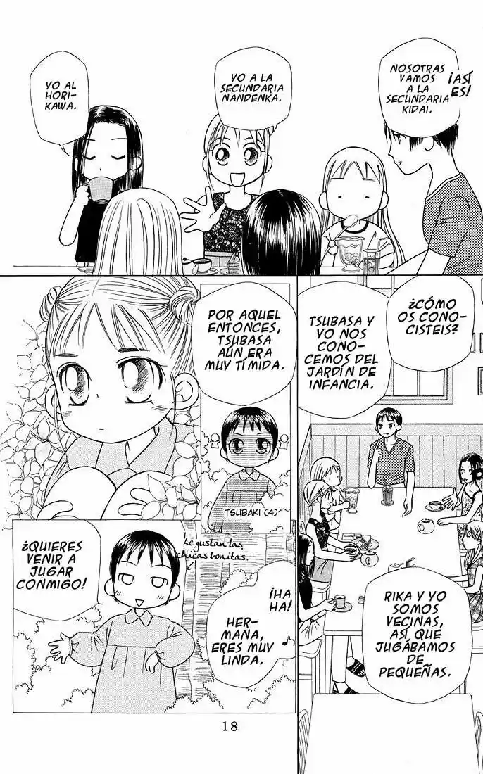 Kareshi Kanojo No Jijō (Kare Kano) - Capítulo 17 - Página 17 - LectorTMOo