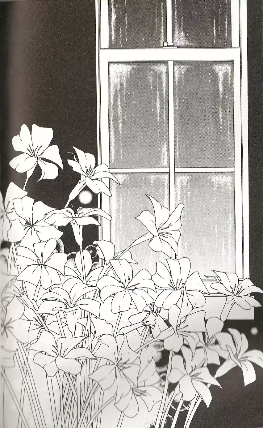 Kareshi Kanojo No Jijō (Kare Kano) - Capítulo 26 - Página 32 - LectorTMOo