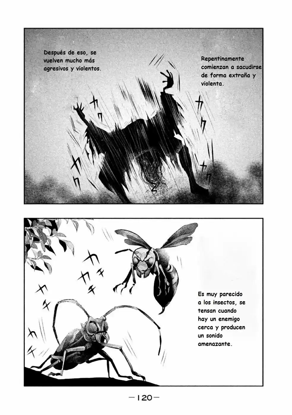 Kasouba No Nai Machi Ni Kane Ga Naru Toki - Capítulo 38 - Página 7 - LectorTMOo