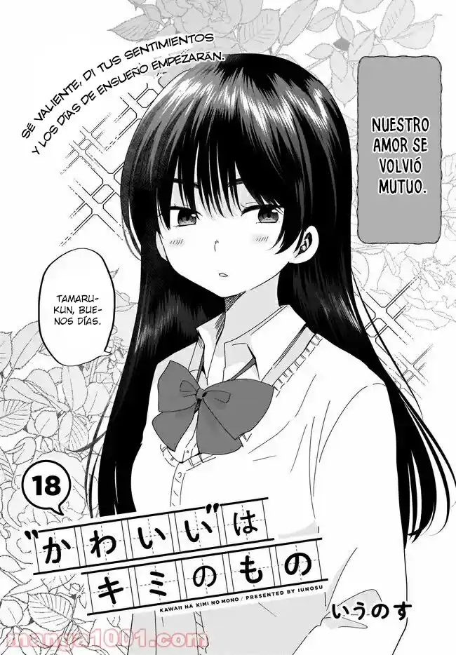 Kawaii Wa Kimi No Mono - Capítulo 18 - Página 3 - LectorTMOo