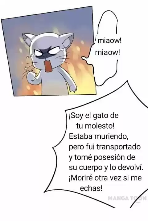 Keep Me Company Your Highness - Capítulo 2 - Página 8 - LectorTMOo