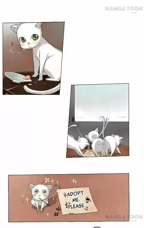 Keep Me Company Your Highness - Capítulo 2 - Página 10 - LectorTMOo
