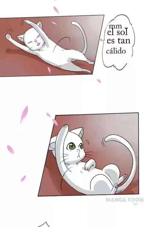 Keep Me Company Your Highness - Capítulo 3 - Página 3 - LectorTMOo