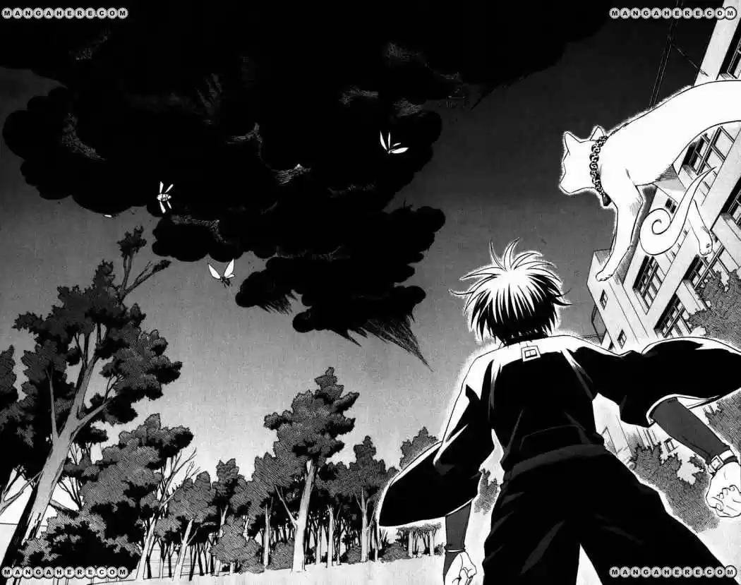 Kekkaishi - Capítulo 88 - Página 17 - LectorTMOo