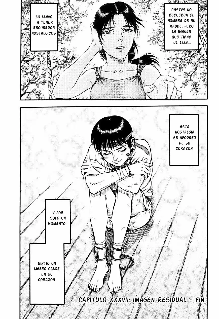 Kento Ankokuden Cestvs - Capítulo 37 - Página 22 - LectorTMOo