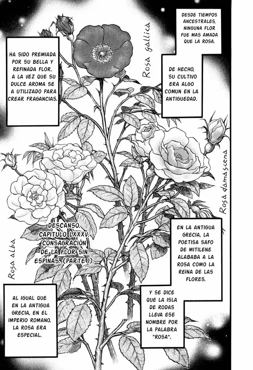 Kento Ankokuden Cestvs - Capítulo 85 - Página 2 - LectorTMOo
