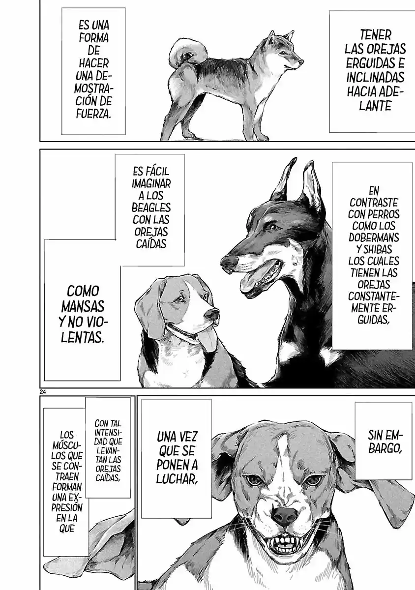 Killing Bites capítulo 66 página 25