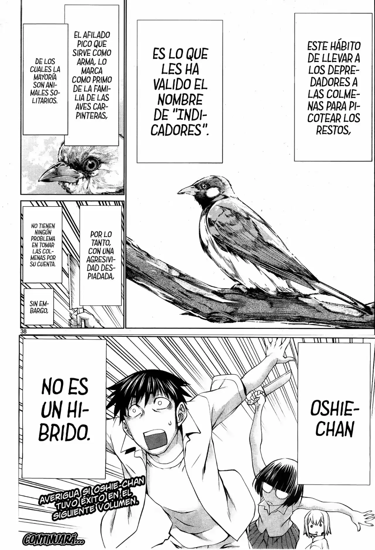 Killing Bites capítulo 69 página 39