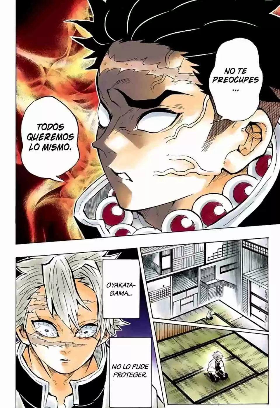 Kimetsu No Yaiba - Digital Colored Comics - Capítulo 140 - Página 15 - LectorTMOo