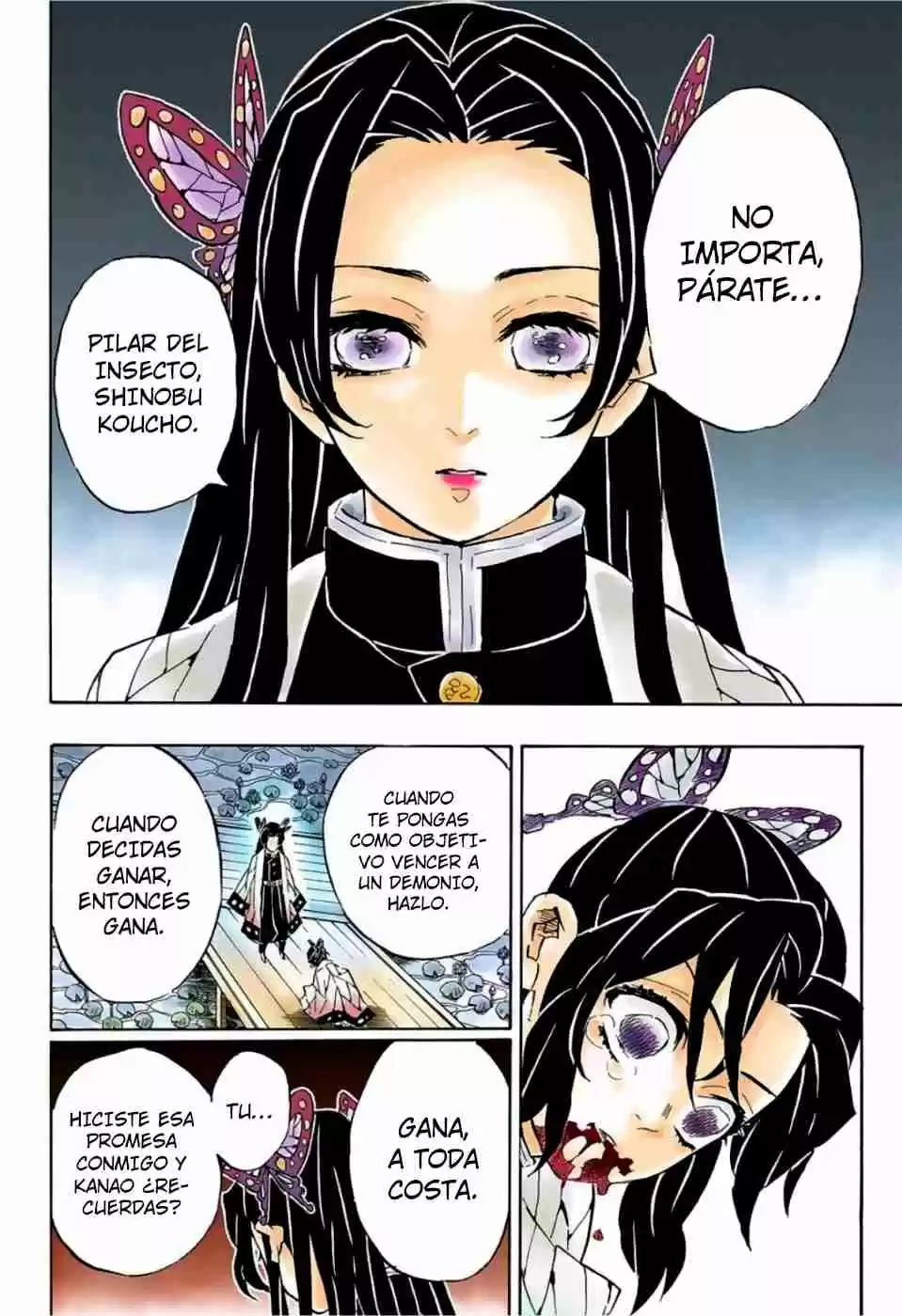 Kimetsu No Yaiba - Digital Colored Comics - Capítulo 142 - Página 13 - LectorTMOo