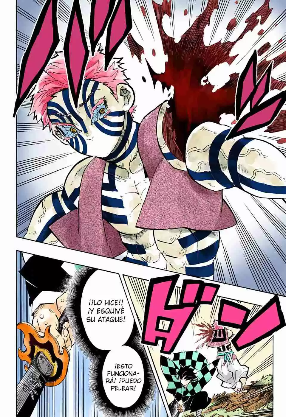 Kimetsu No Yaiba - Digital Colored Comics - Capítulo 147 - Página 14 - LectorTMOo