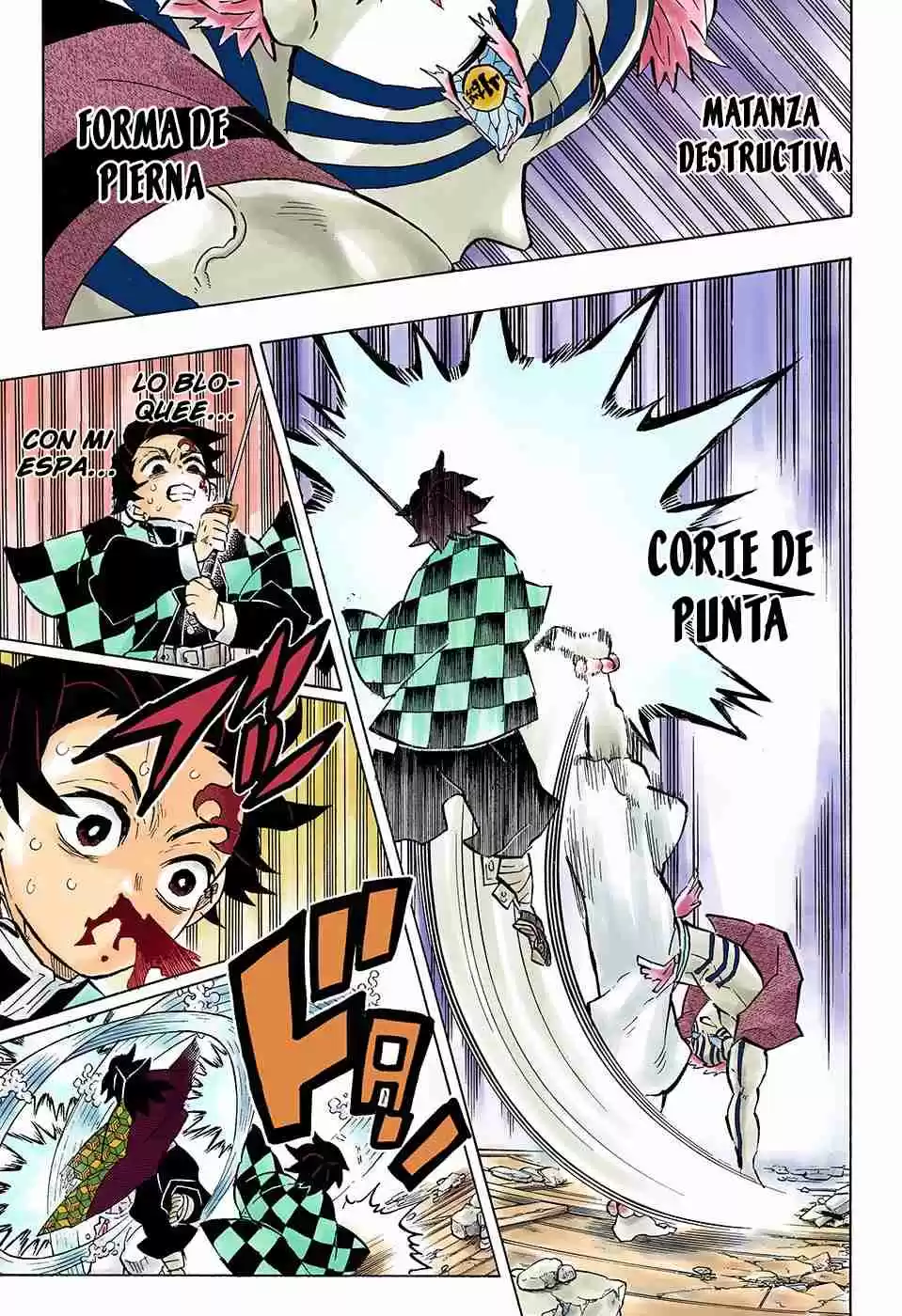 Kimetsu No Yaiba - Digital Colored Comics - Capítulo 148 - Página 10 - LectorTMOo
