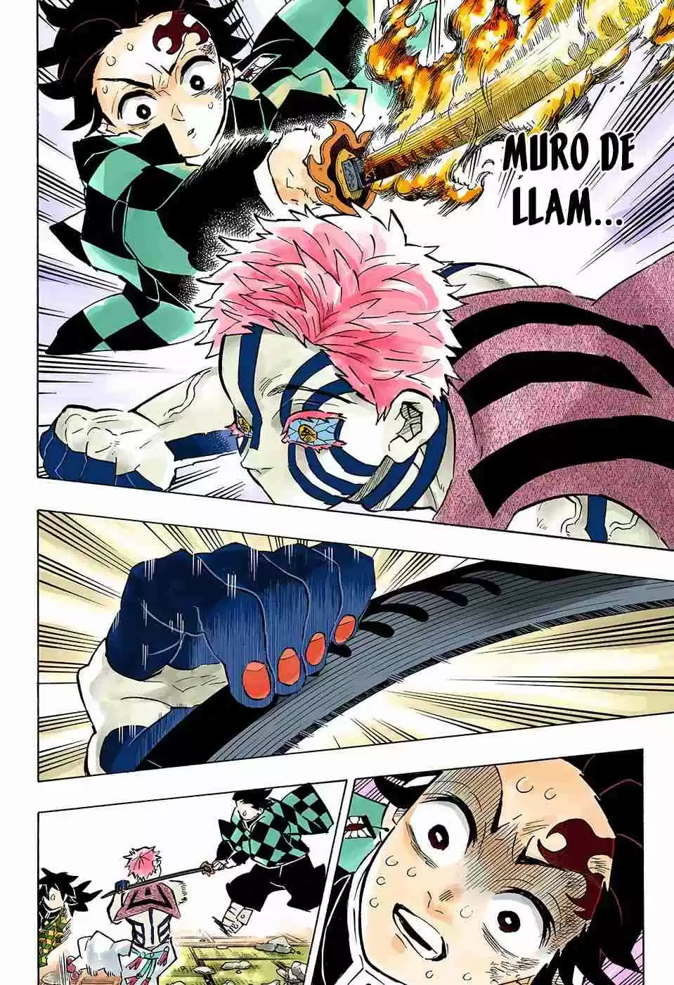 Kimetsu No Yaiba - Digital Colored Comics - Capítulo 150 - Página 17 - LectorTMOo