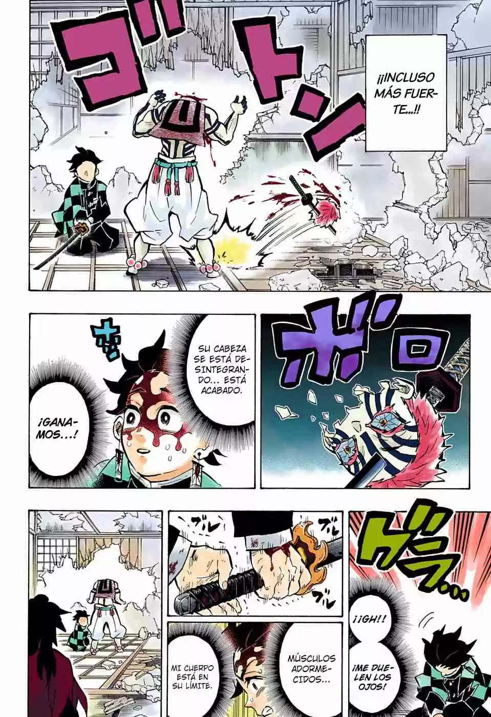 Kimetsu No Yaiba - Digital Colored Comics - Capítulo 153 - Página 9 - LectorTMOo