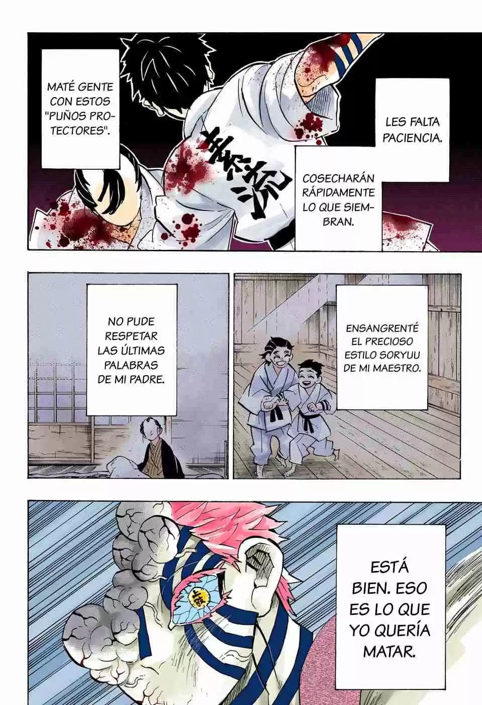 Kimetsu No Yaiba - Digital Colored Comics - Capítulo 156 - Página 9 - LectorTMOo