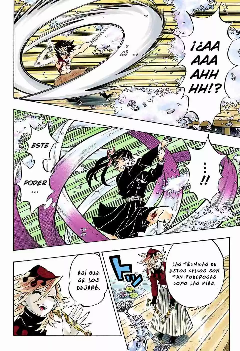 Kimetsu No Yaiba - Digital Colored Comics - Capítulo 161 - Página 11 - LectorTMOo