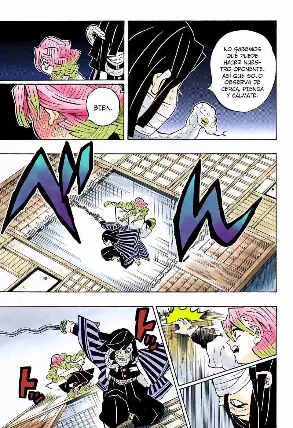 Kimetsu No Yaiba - Digital Colored Comics - Capítulo 164 - Página 10 - LectorTMOo